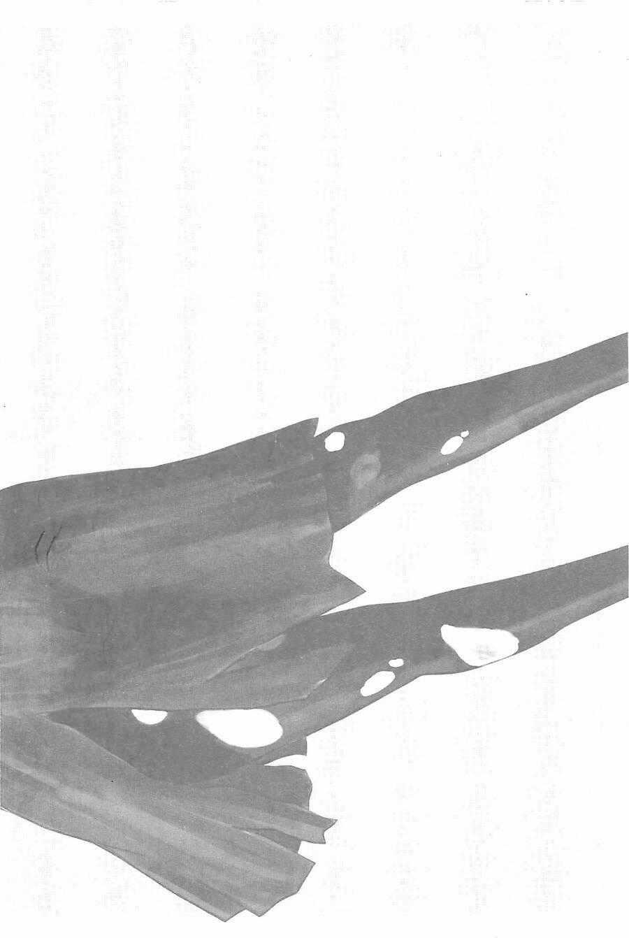 Hyouryuu Net Cafe Chapter 10 trang 24