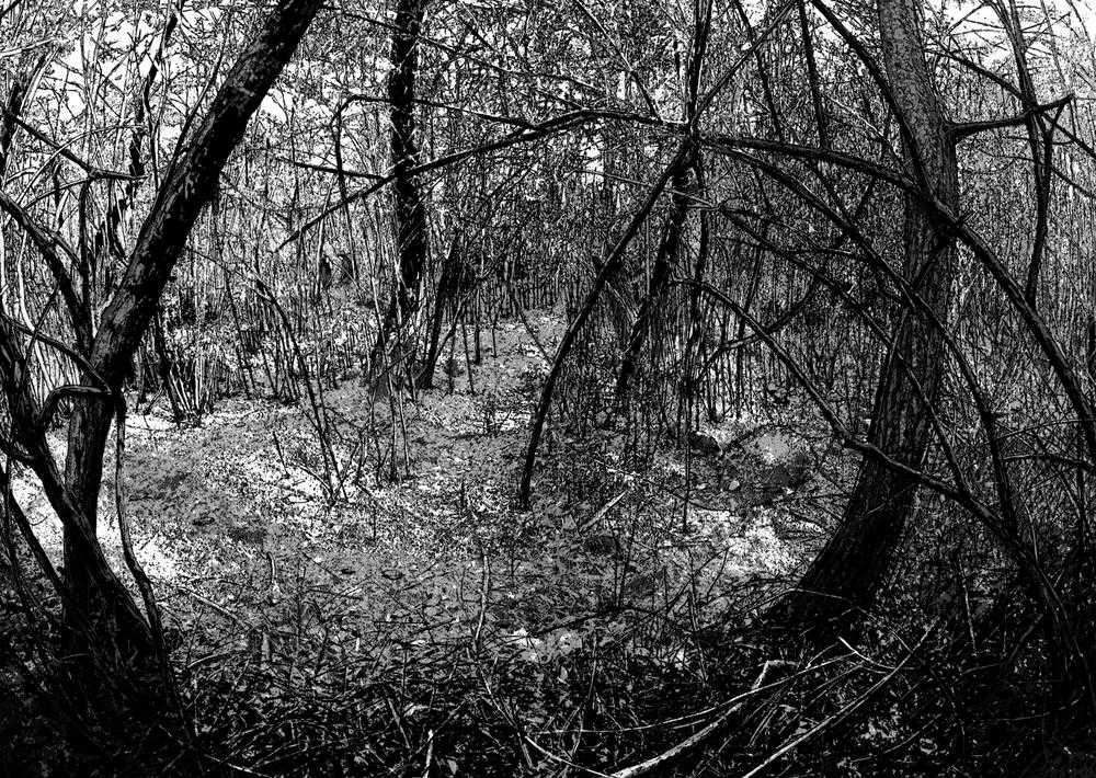 I Am A Hero Chapter 36 trang 5