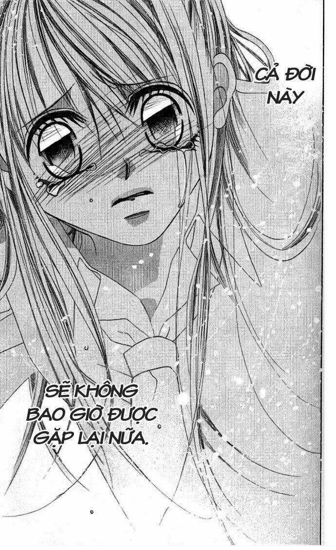 I love my little sister Chapter 35 trang 12