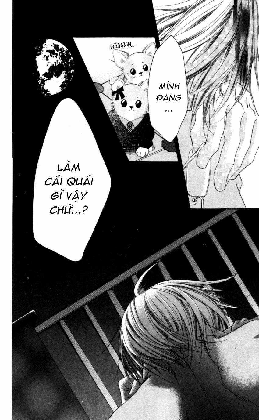 I love my little sister Chapter 38 trang 16