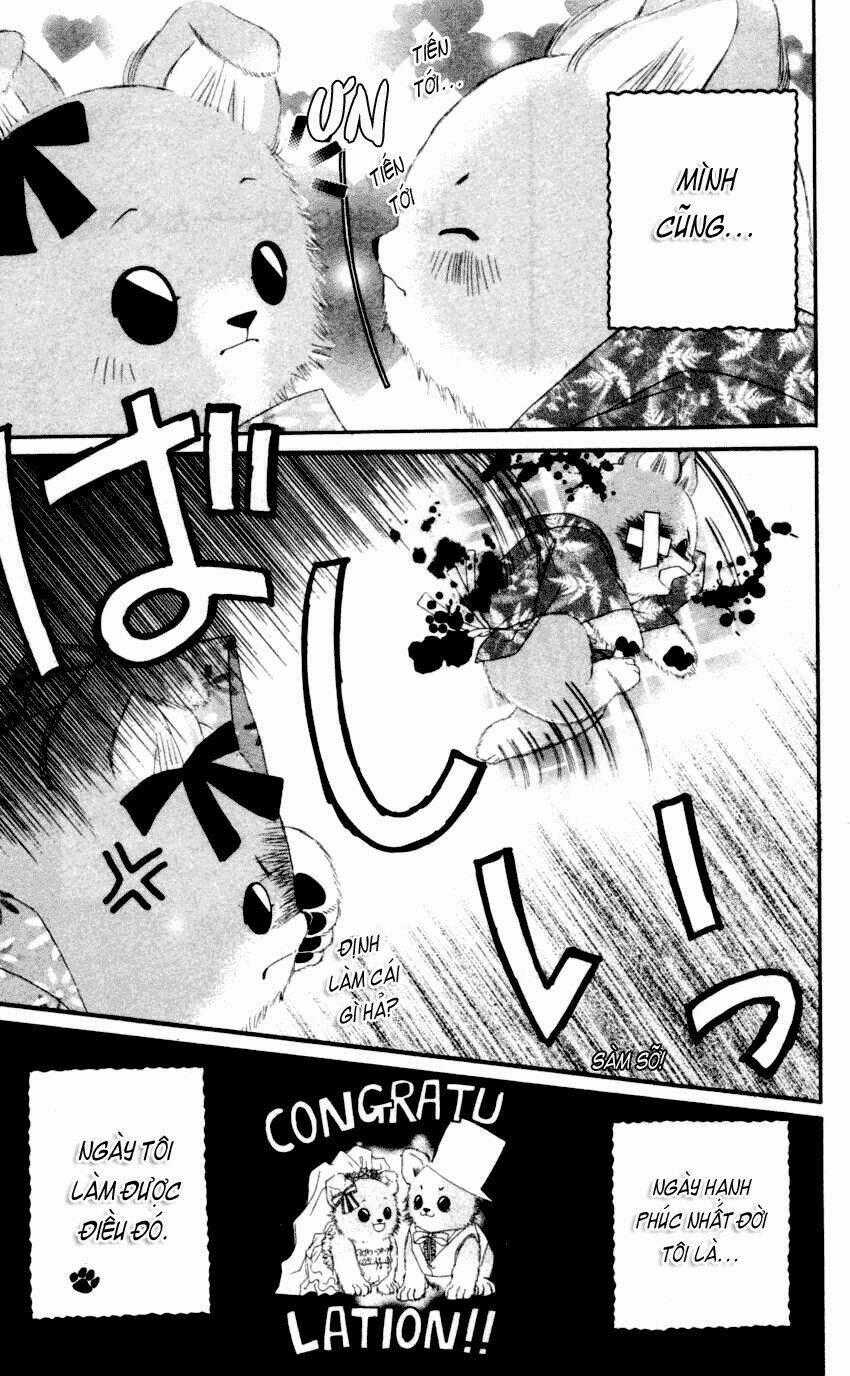 I love my little sister Chapter 40 trang 36