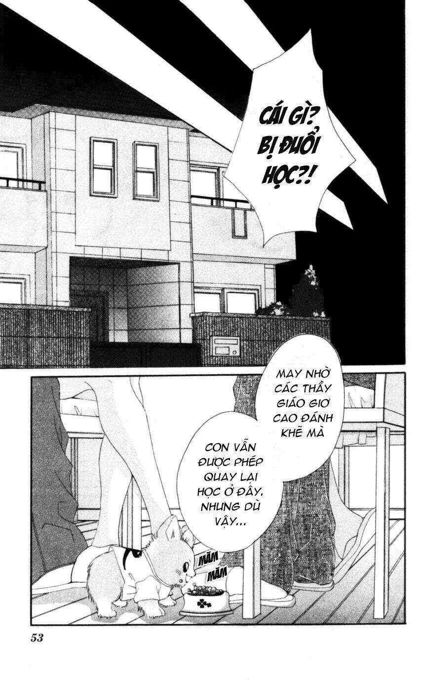 I love my little sister Chapter 43 trang 21