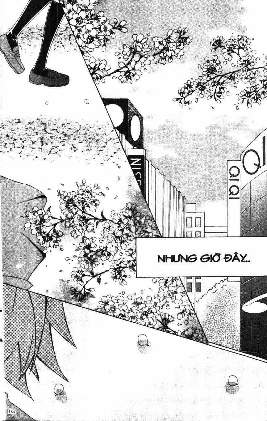 I Love You Suzuki Chapter 2 trang 173