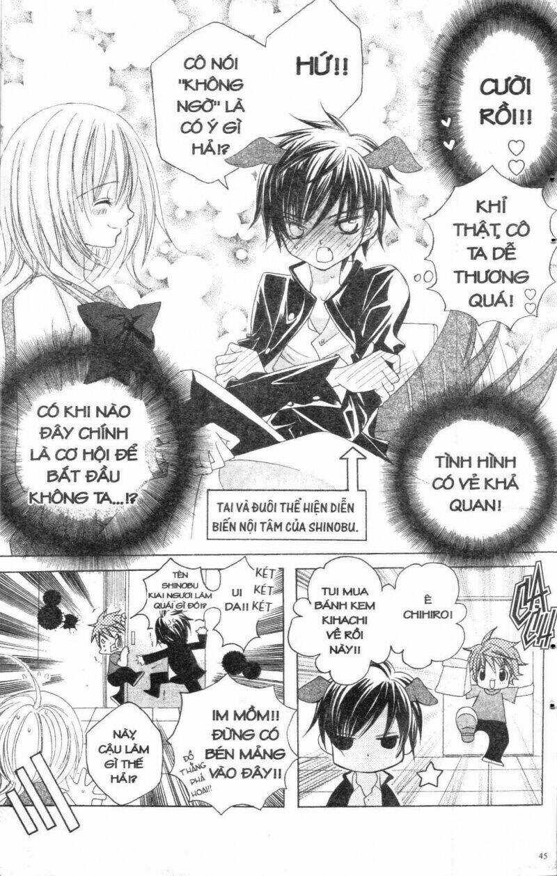 I Love You Suzuki Chapter 2 trang 38