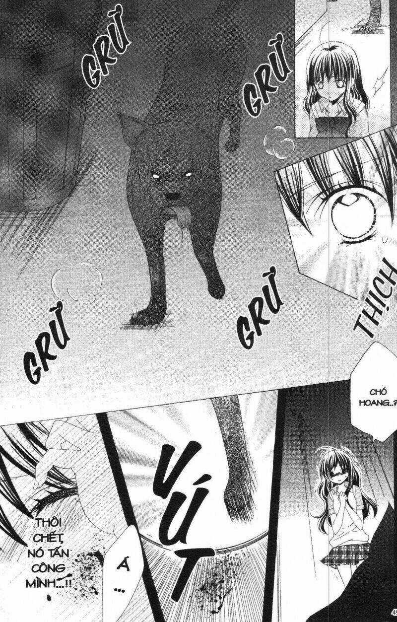 I Love You Suzuki Chapter 9 trang 48