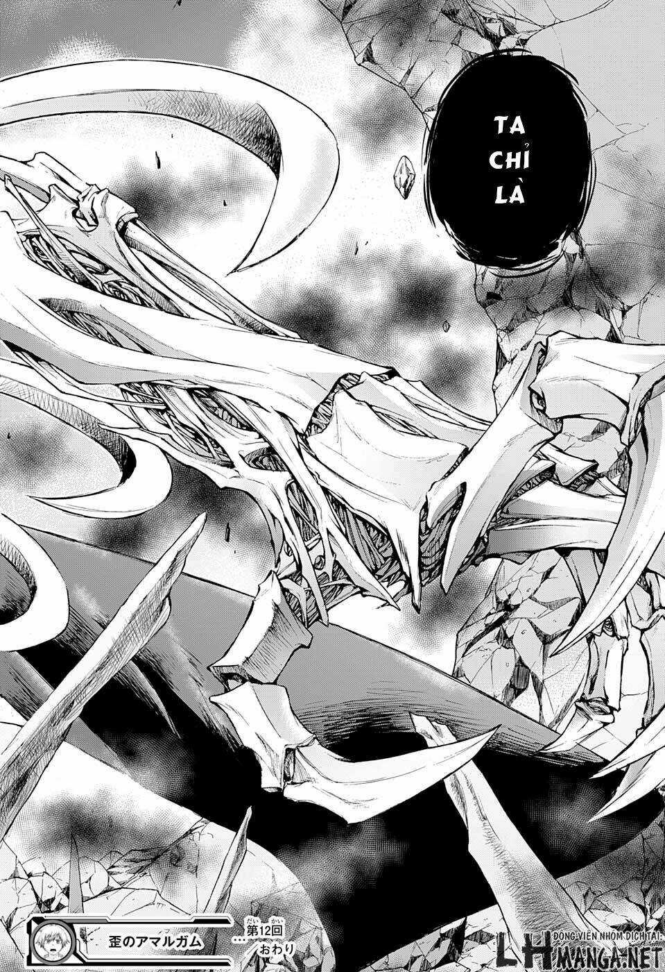 Ibitsu No Amalgam Chapter 12 trang 24