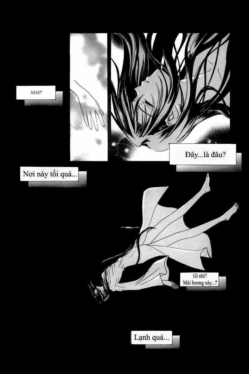 Id Chapter 24 trang 5