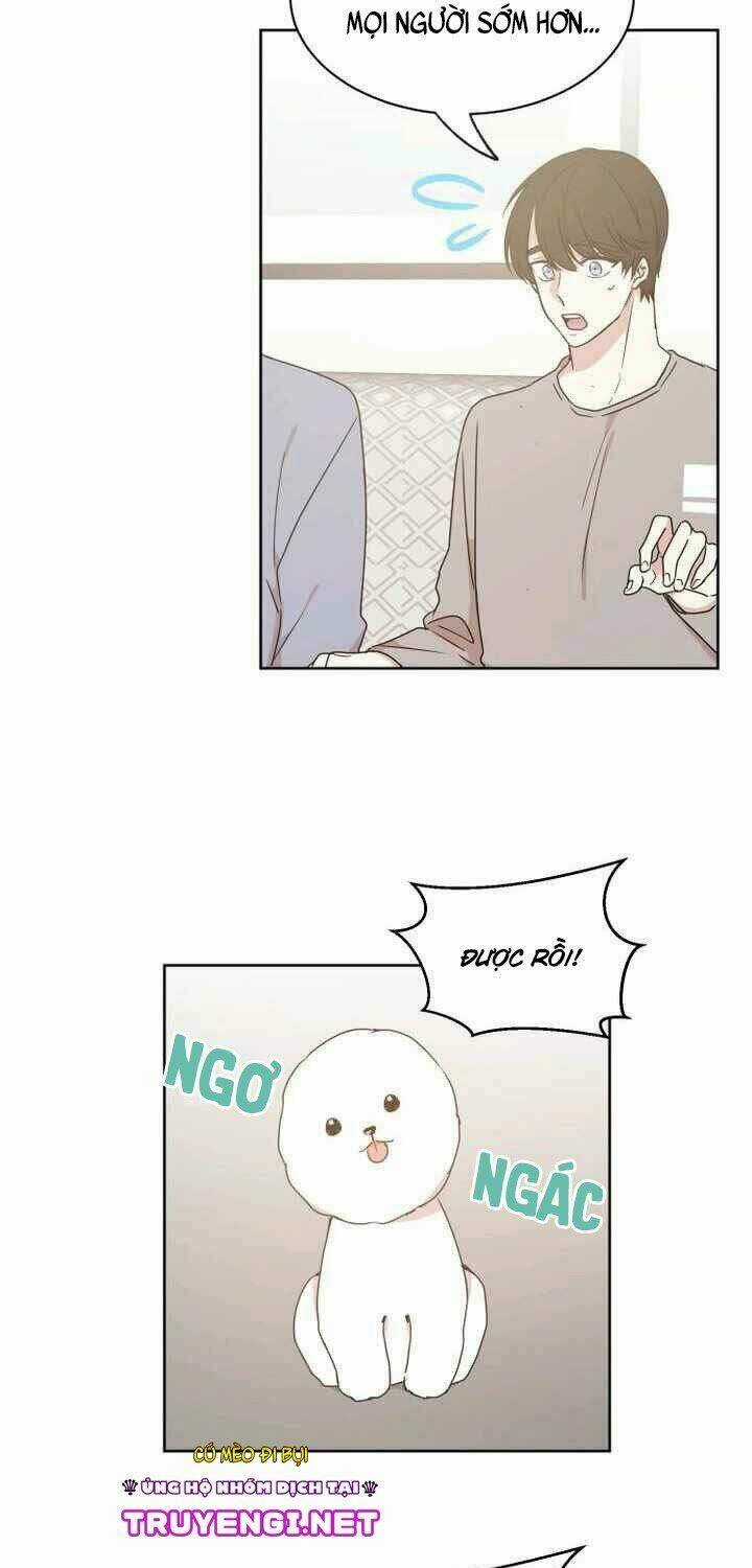 Idol Sống Trong Nhà Tôi ! Chapter 16 trang 21