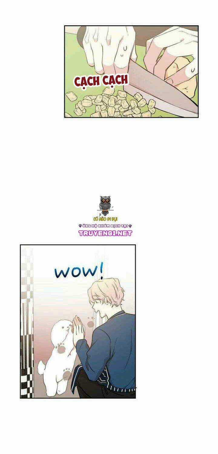 Idol Sống Trong Nhà Tôi ! Chapter 7 trang 8