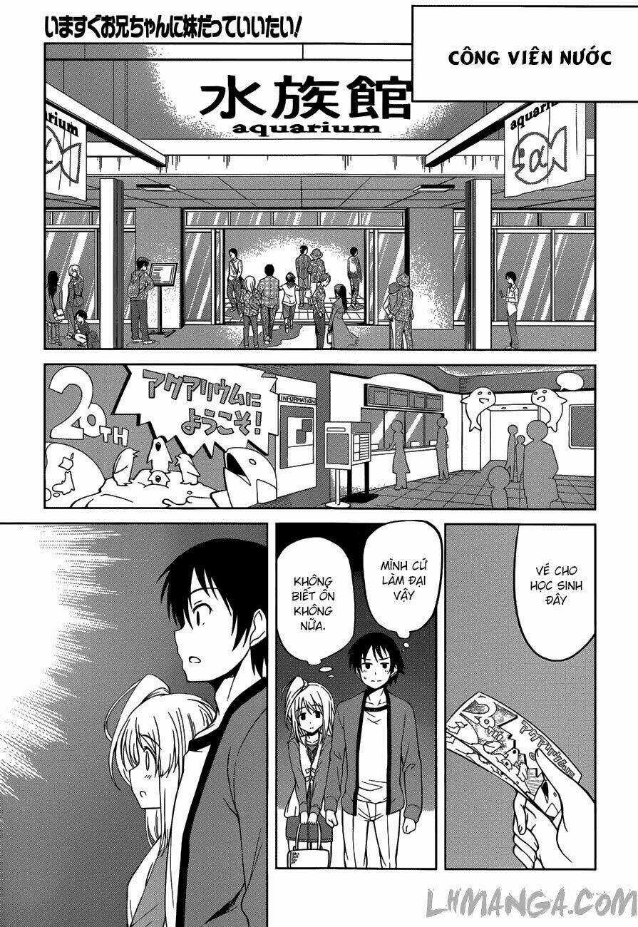 Imasugu Oniichan Ni Imouto Datte Iitai Chapter 14 trang 5