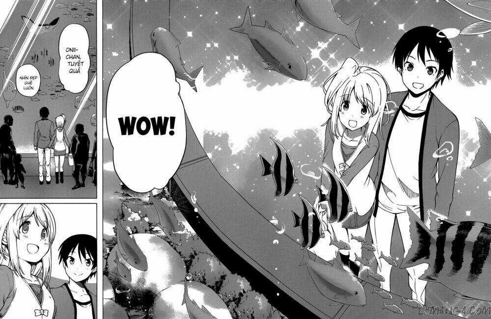 Imasugu Oniichan Ni Imouto Datte Iitai Chapter 14 trang 6