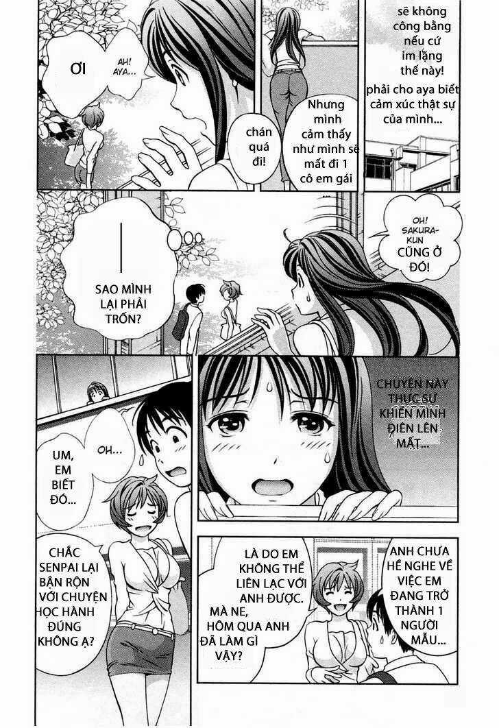 Imasugu Oniichan Ni Imouto Datte Iitai Chapter 21 trang 16