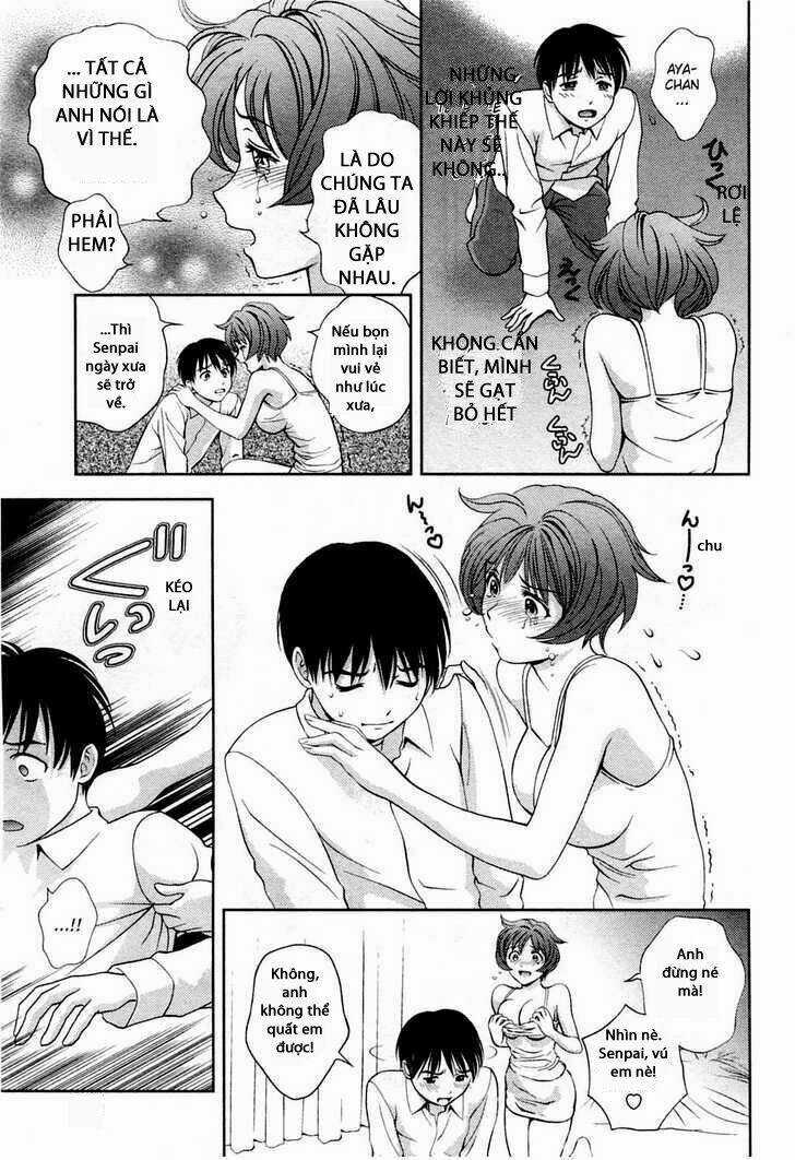 Imasugu Oniichan Ni Imouto Datte Iitai Chapter 23 trang 19