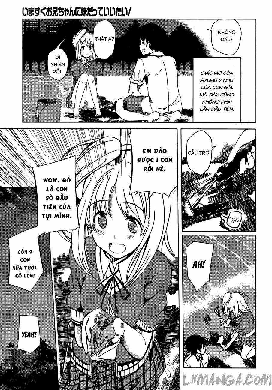 Imasugu Oniichan Ni Imouto Datte Iitai Chapter 9 trang 13