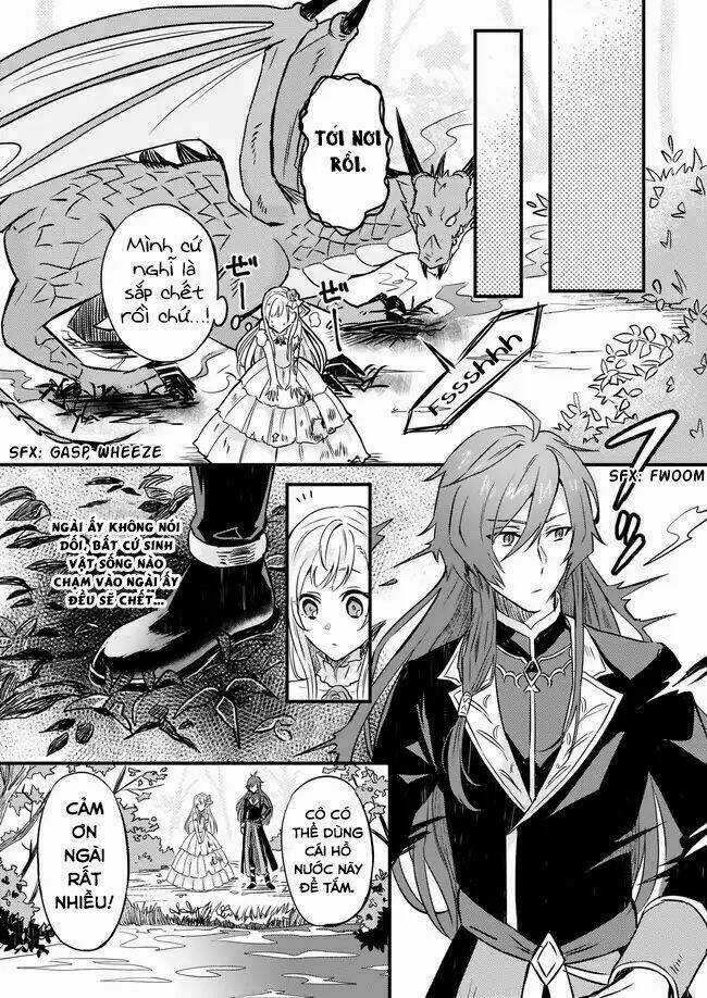 Imouto Ni Fiancee Wo Yuzure To Iwaremashita, Saikyou No Ryuu Ni Kiniirarete Masakano Okoku Nottori? Chapter 2 trang 13