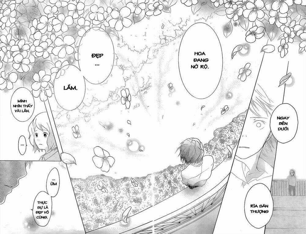 Impatiens Chapter 1 trang 22