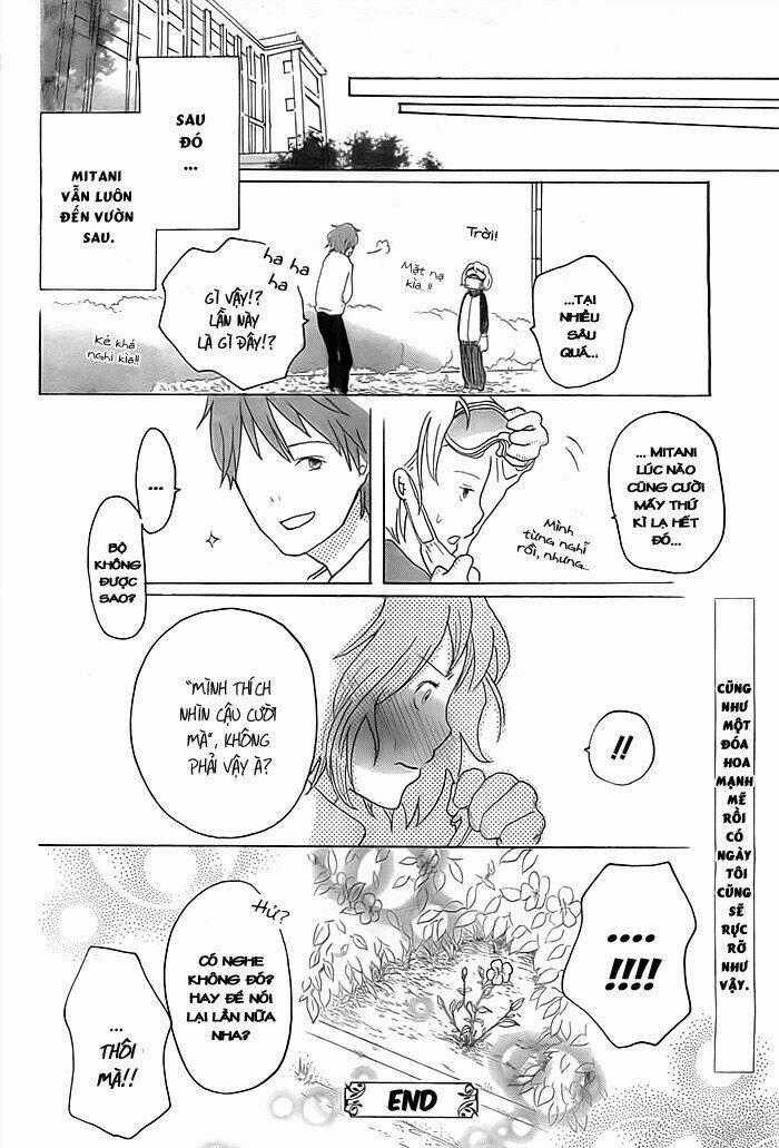 Impatiens Chapter 1 trang 27