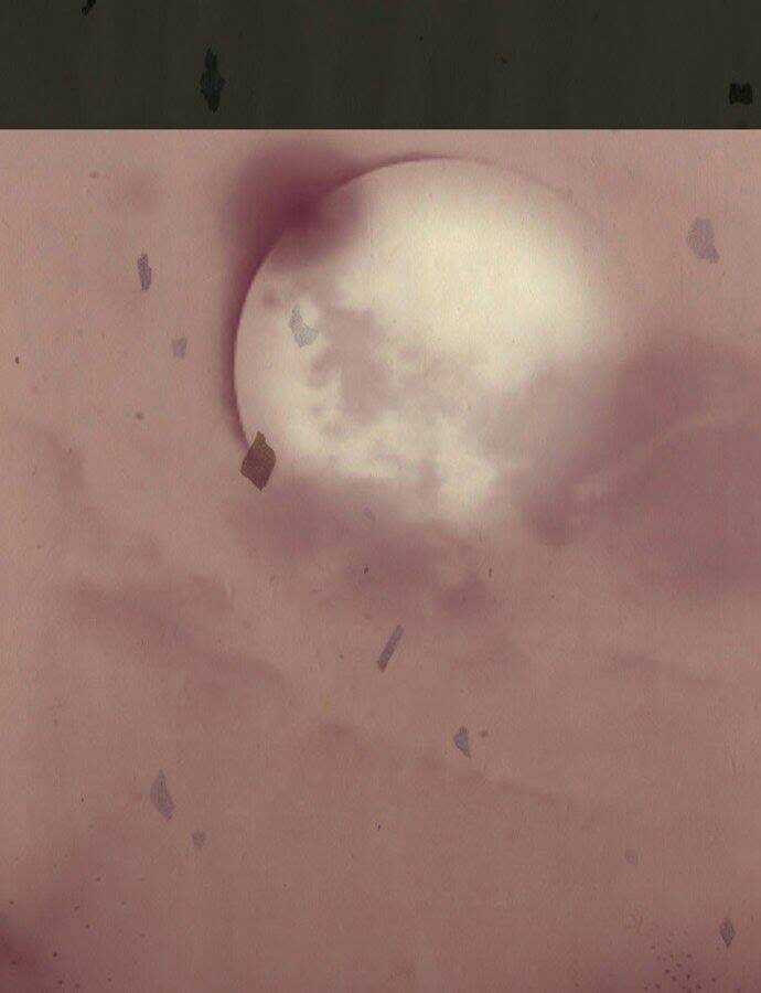 In Full Bloom Chapter 1 trang 34