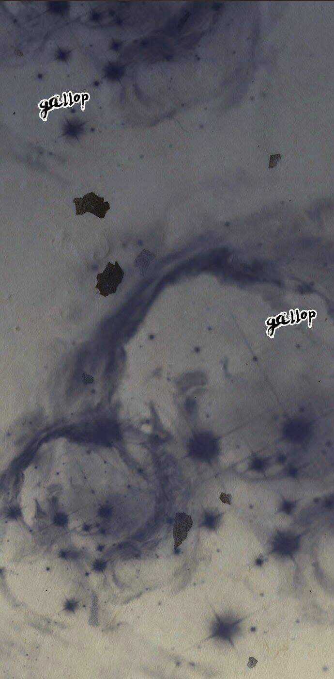 In Full Bloom Chapter 1 trang 5