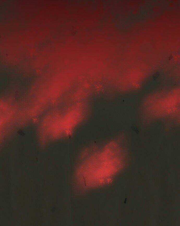 In Full Bloom Chapter 5 trang 20