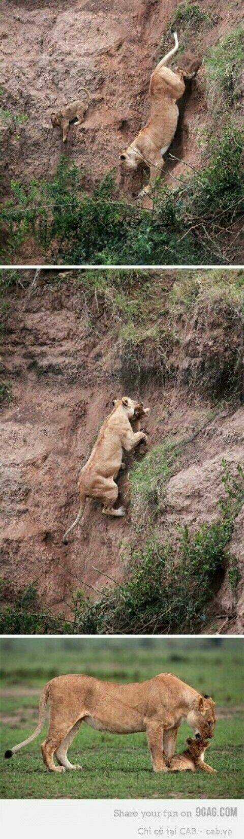 Inagawa's Love And Ghost Stories Chapter 43 trang 2