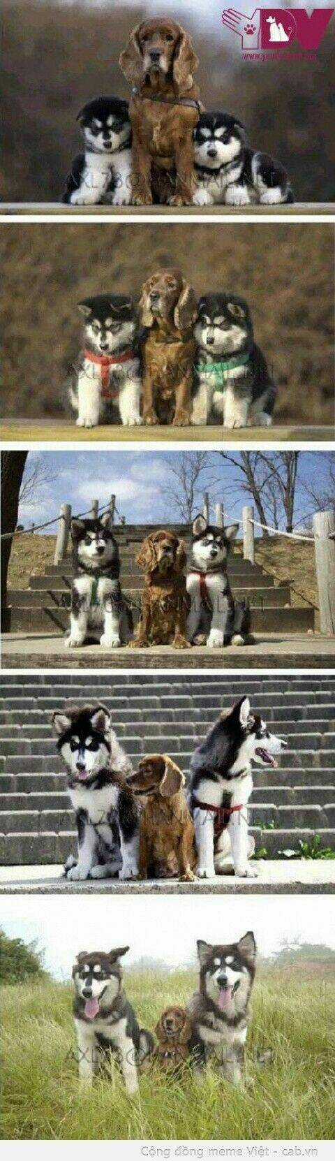 Inagawa's Love And Ghost Stories Chapter 45 trang 10