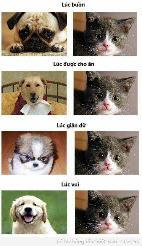 Inagawa's Love And Ghost Stories Chapter 46 trang 10