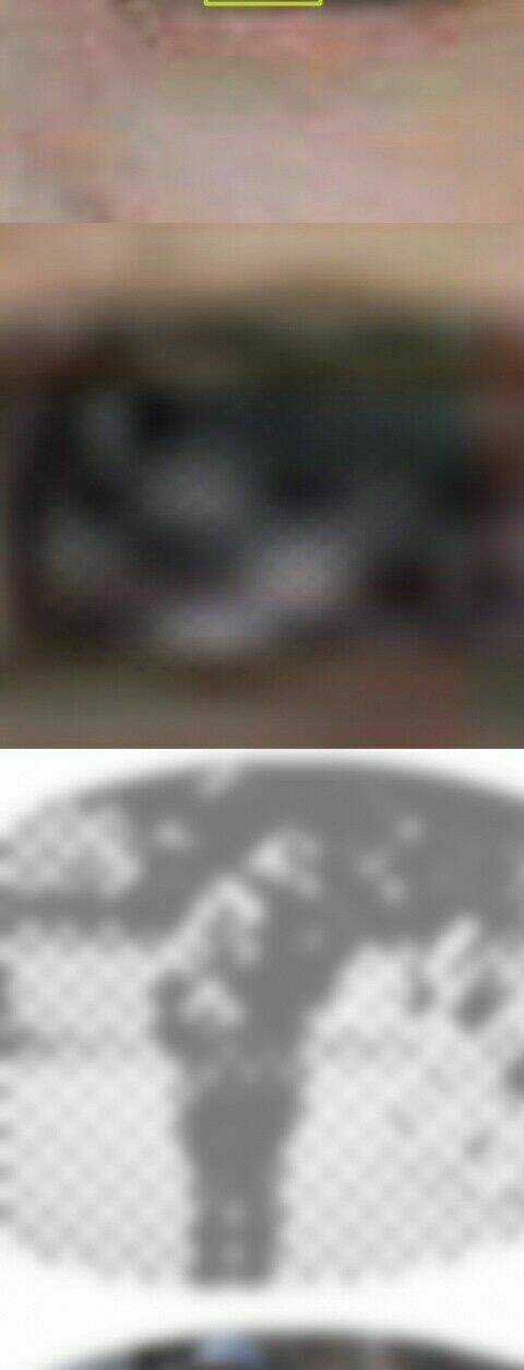 Inagawa's Love And Ghost Stories Chapter 47 trang 15