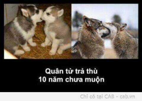 Inagawa's Love And Ghost Stories Chapter 50 trang 8