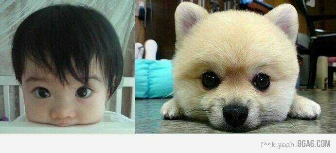 Inagawa's Love And Ghost Stories Chapter 52 trang 40