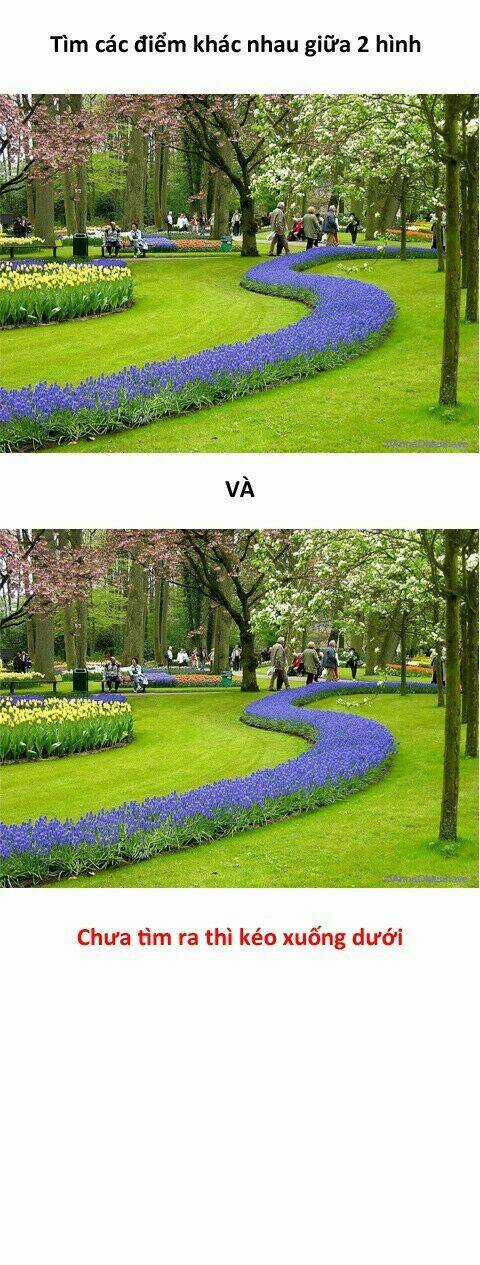 Inagawa's Love And Ghost Stories Chapter 54 trang 20