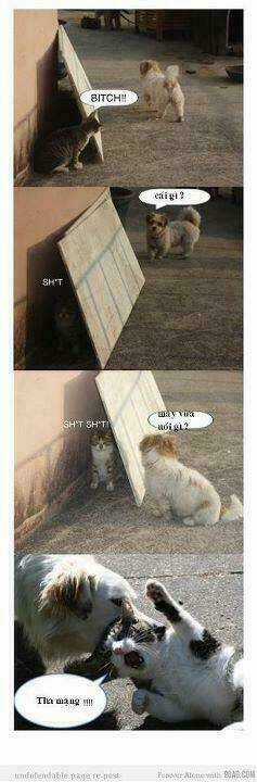 Inagawa's Love And Ghost Stories Chapter 66 trang 19