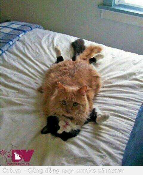 Inagawa's Love And Ghost Stories Chapter 66 trang 25