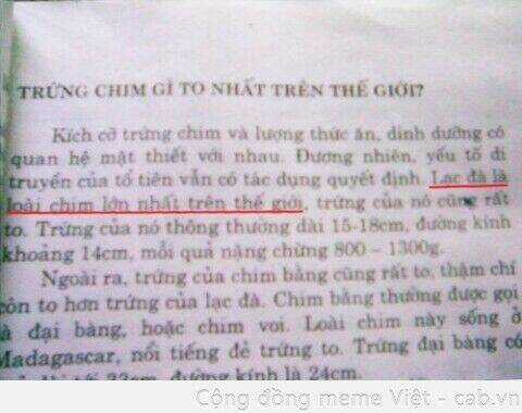 Inagawa's Love And Ghost Stories Chapter 67 trang 22