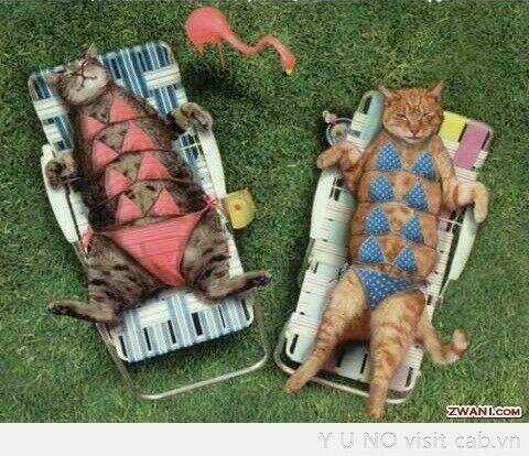 Inagawa's Love And Ghost Stories Chapter 67 trang 7