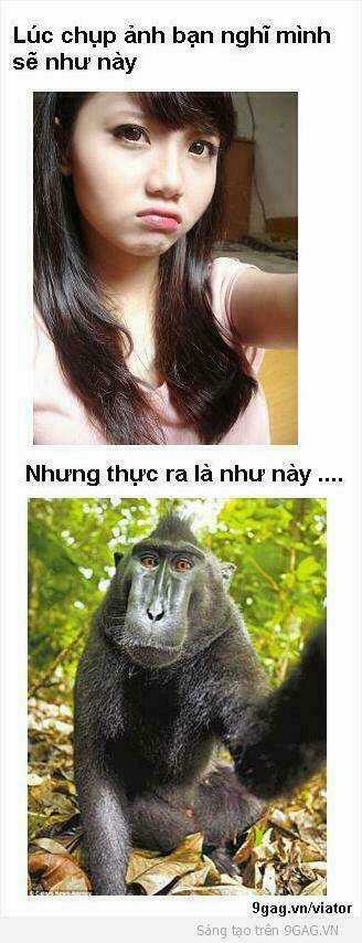 Inagawa's Love And Ghost Stories Chapter 71 trang 14