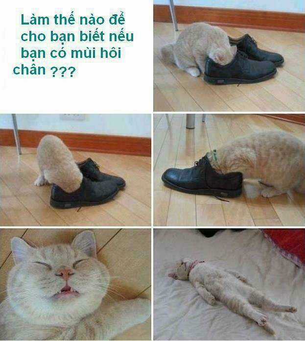 Inagawa's Love And Ghost Stories Chapter 71 trang 5