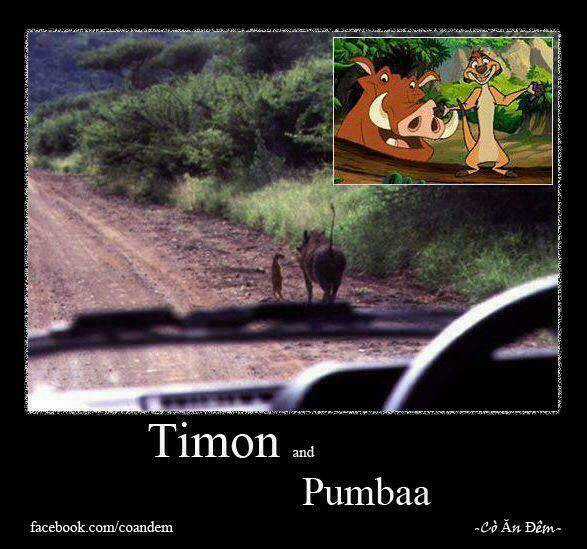 Inagawa's Love And Ghost Stories Chapter 71 trang 6