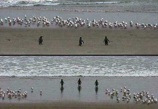 Inagawa's Love And Ghost Stories Chapter 78 trang 13