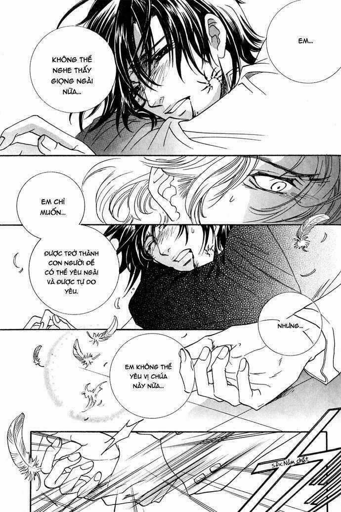 Innocent Bird Chapter 12 trang 15