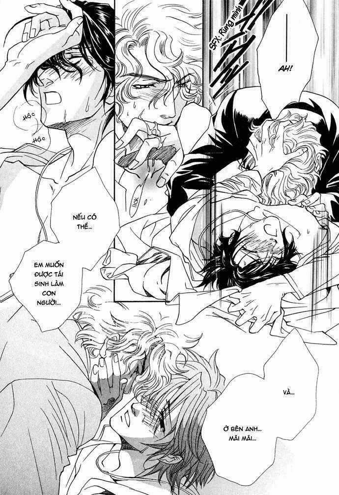 Innocent Bird Chapter 12 trang 22