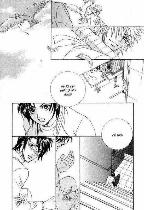 Innocent Bird Chapter 13 trang 46