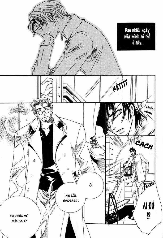 Innocent Bird Chapter 3 trang 7