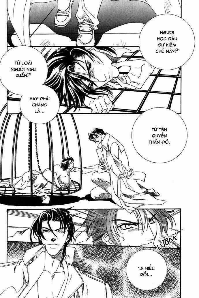 Innocent Bird Chapter 4 trang 11