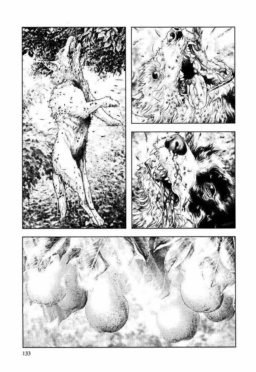 Innocent Chapter 49 trang 1