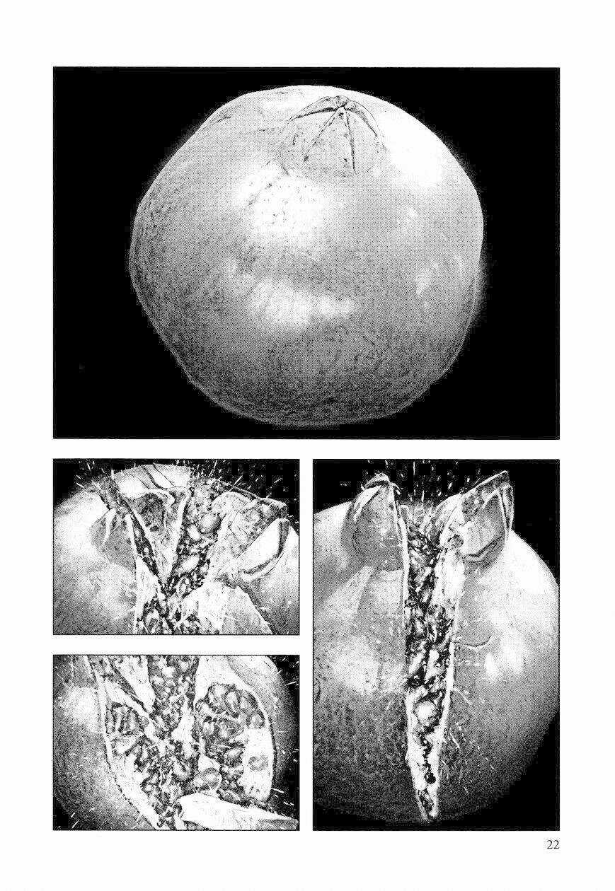 Innocent Chapter 9 trang 22