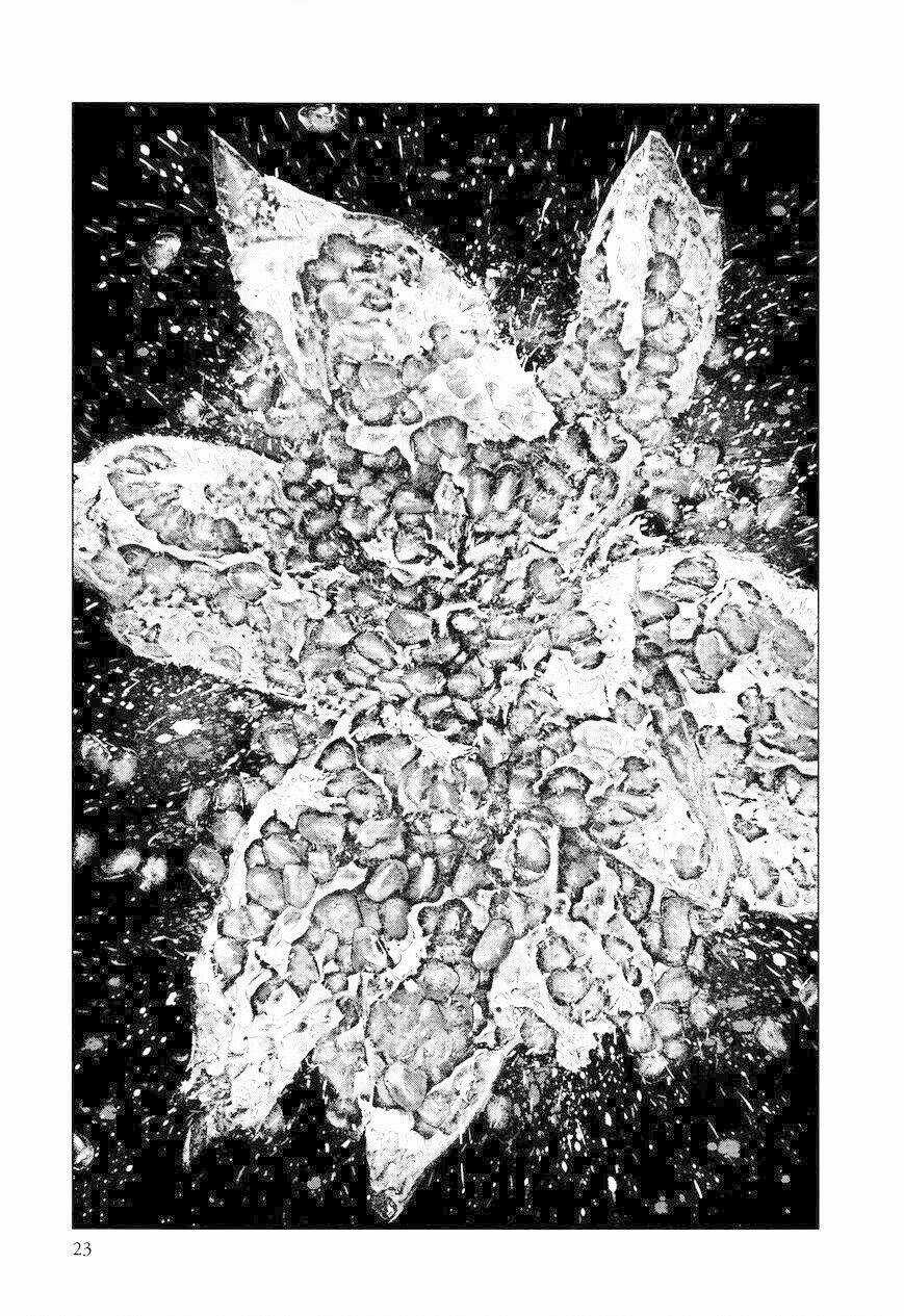 Innocent Chapter 9 trang 23