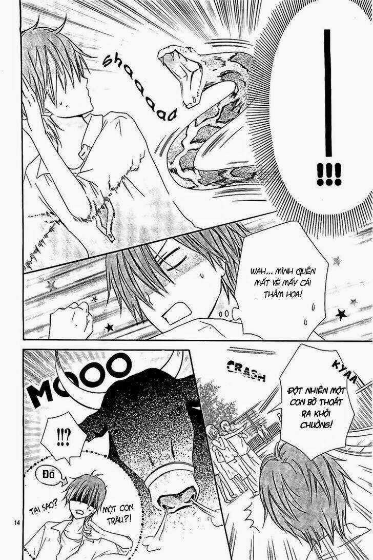 Inochi Mijikashi, Koi Seyo Furyou Shounen! Chapter 5 trang 13