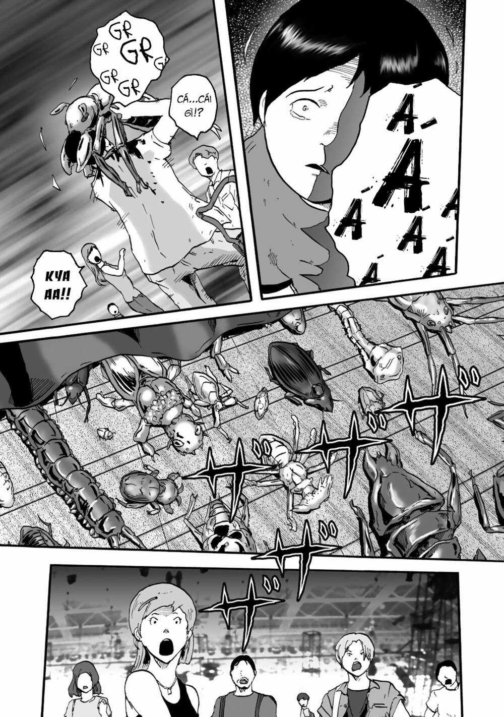 Insects R Chapter 1 trang 32