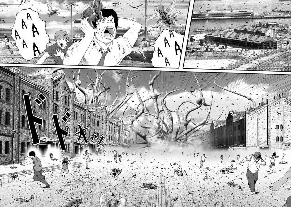 Insects R Chapter 1 trang 36